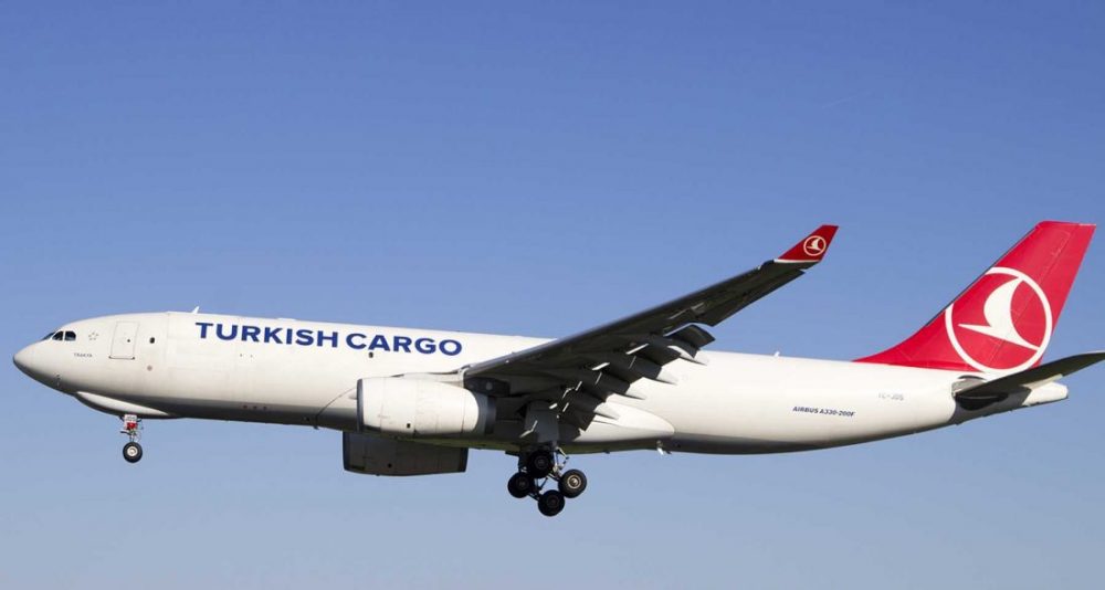 Turkish Cargo yırtıcıları taşıdı