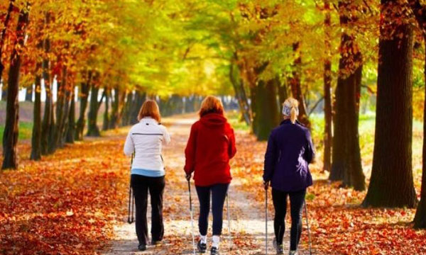 Yürüyüş yapmak için en iyi 7 kent