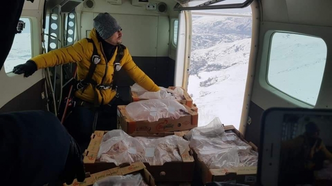 THK karda mahsur kalan hayvanlara havadan yiyecek attı