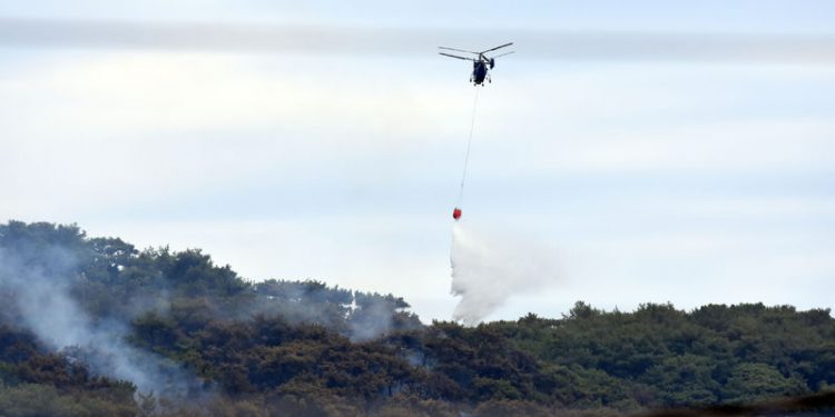 Yangındaki iki kurum THK ve Orman Bakanlığı