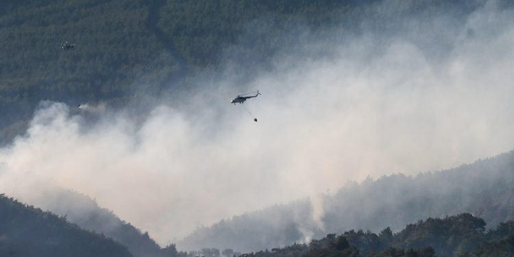 Orman yangınlarında yönetim kargaşası var