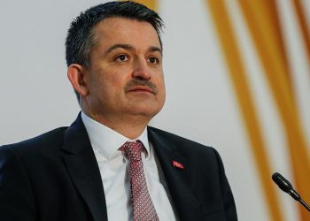 Pakdemirli, Rusya’nın yangın söndürme uçaklarını inceleyecek