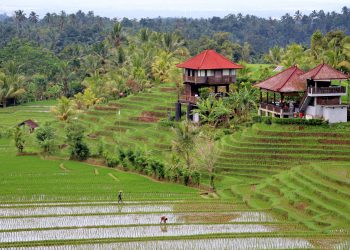 Bali’de yapılması gereken 9 etkinlik