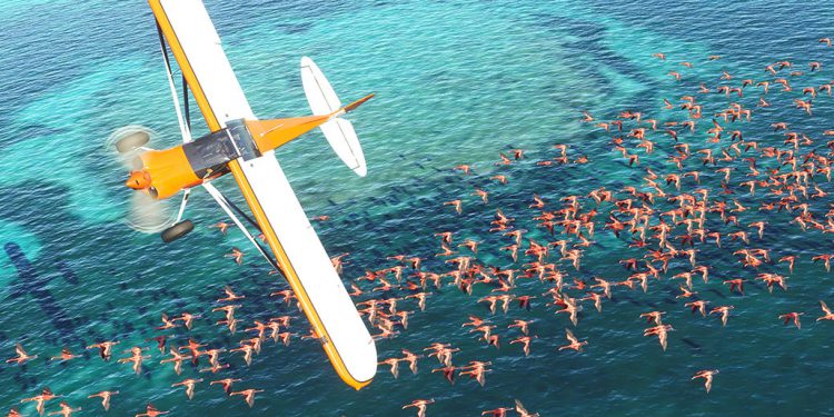 Flight Simulator’ün yeni versiyonu 2020’de çıkıyor