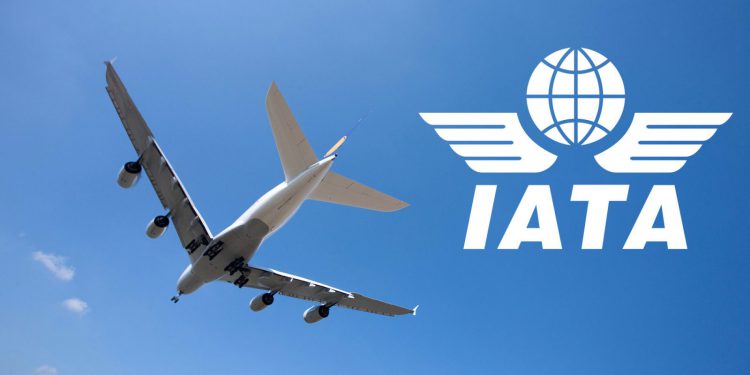IATA 2020’de yüzde 6 büyüme bekliyor