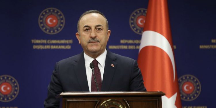 THY, Avrupa’dan 3 bin 614 Türk vatandaşını getirecek