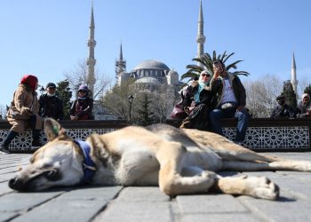 Virüsün etkilediği ülkelerden Türkiye’ye kaç turist geldi?