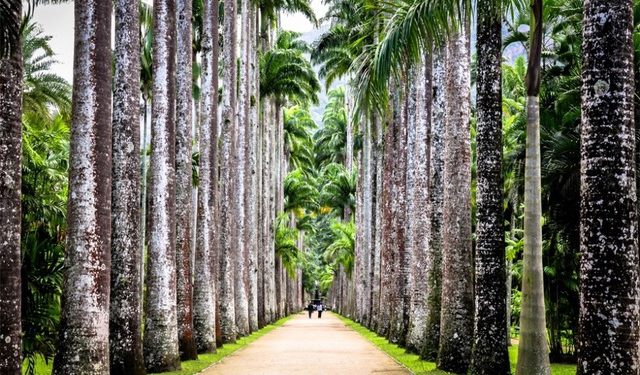 Dünyanın en güzel 6 botanik bahçesi
