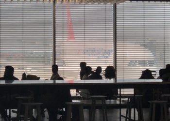 THY’de AB sıkıntısı