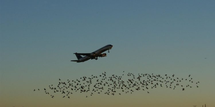 Dalaman’a gelen Rus uçağı tehlike atlattı