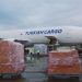 Turkish Cargo, Türkiye’nin ihracatına değer katıyor