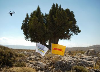 DHL ormanında 50 bin tohum ağaç olacak