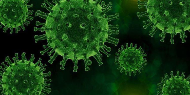 Koronanın kronolojisi