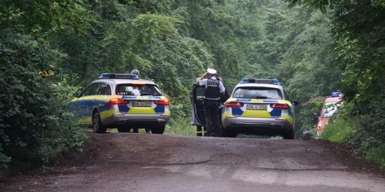 Almanya’da küçük uçak düştü: 3 ölü