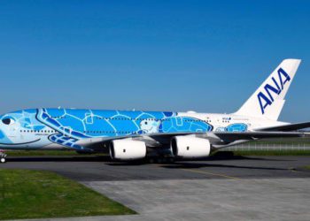 Kaplumbağa piste çıktı, uçaklar rötar yaptı