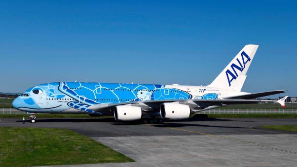 Kaplumbağa piste çıktı, uçaklar rötar yaptı