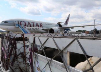 Qatar Airways’ten hayvan kaçakçılığına karşı imza