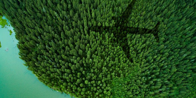 Qatar Airways, IATA Havacılık Karbon Borsasında işlem yapan ilk havayolu oldu