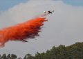 Uçaklardan ormanlara neden kırmızı su atılıyor?