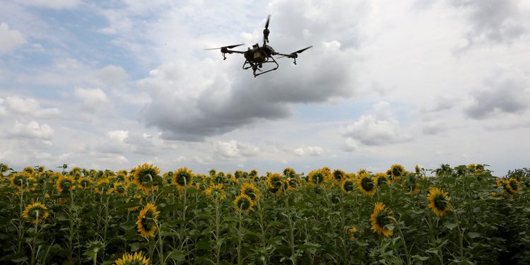 Trakya’daki tırtıl basan tarlalara drone ile müdahale ediliyor