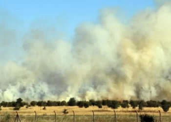 Uşak Havalimanı’nda yangın