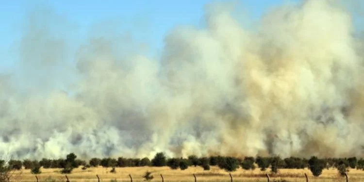 Uşak Havalimanı’nda yangın