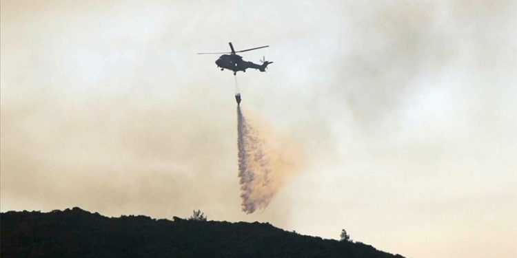 MSB duyurdu: Gürcistan, ASFAT’ın kitlerini kullanacak