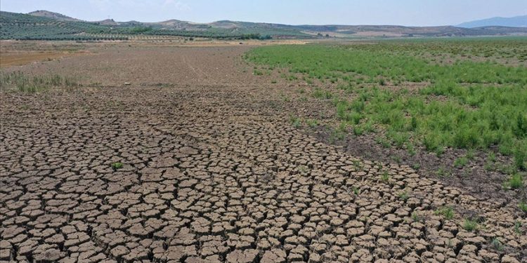 Türkiye, küresel ısınma ve enerji üretiminde dönüşüm