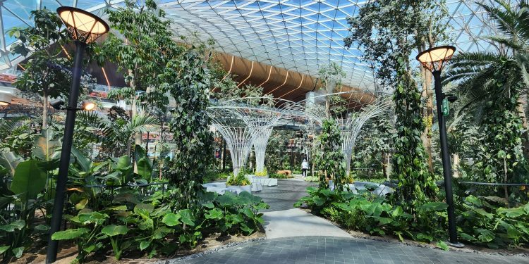 Hamad Havalimanı’nın kapasitesi büyütüldü: ‘Tropikal bahçe’ geldi