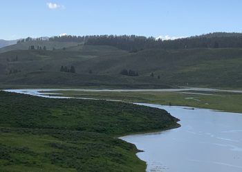 Yellowstone Milli Parkı -I