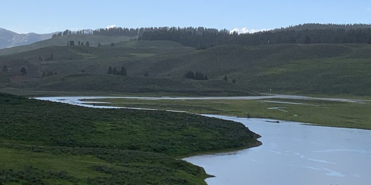 Yellowstone Milli Parkı -I