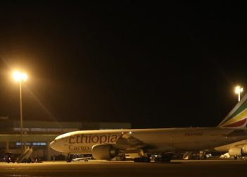 Meksika’dan gönderilen 100 ton insani yardım malzemesi Adana’ya ulaştı