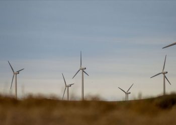 Döngüsel ekonomi kavramını anlamak!