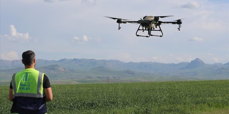 Erzurumlu çiftçiler tasarruf için ilaçlamayı dronla yapıyor