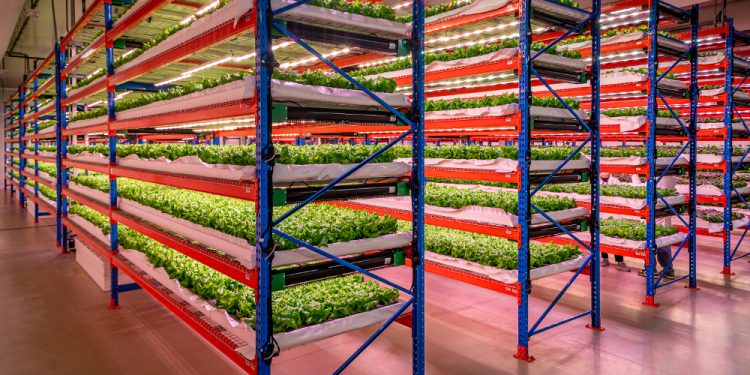 Emirates dünyanın en büyüğünü satın aldı