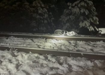 ABD&#8217;de uçak kazası: 2 kişi öldü