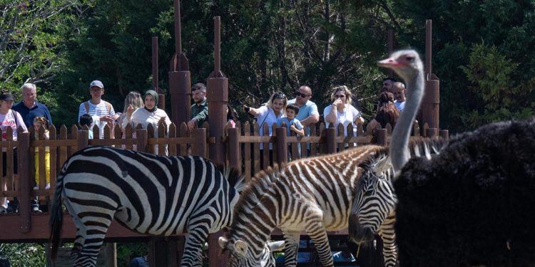 İzmir Doğal Yaşam Parkı’nı tatilde 150 bin kişi ziyaret etti