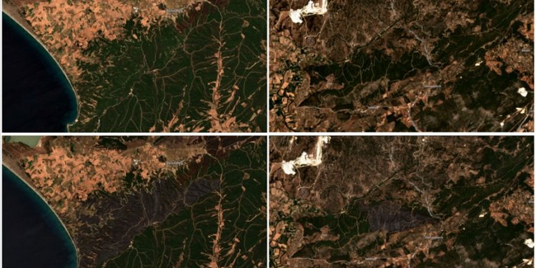 Yanan ormanlık alanlar uzaydan görüntülendi