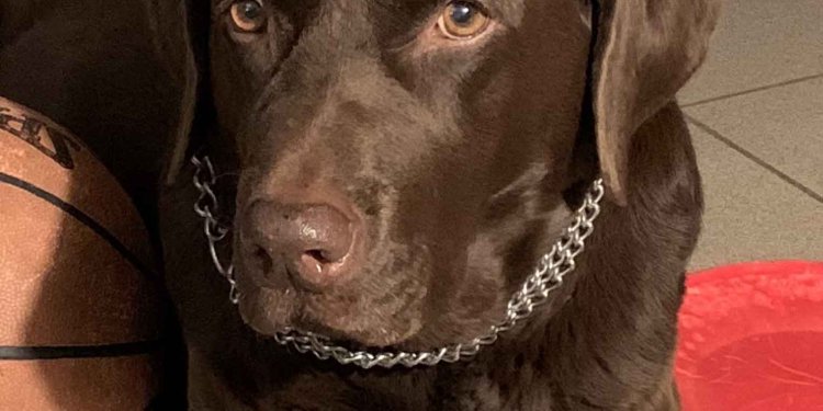 Muhabiriniz Pati’den Girne’de iki sokak röportajı