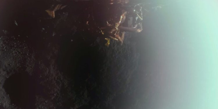 ABD’li uzay aracı “Blue Ghost” Ay’a başarıyla iniş yaptı