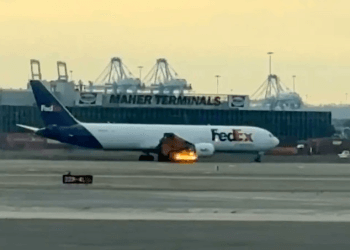 FedEx kargo uçağı kuşa çarptı, motoru alev aldı
