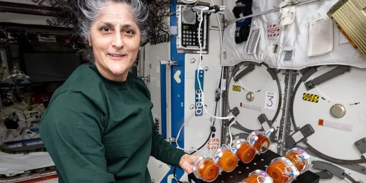 Uzayda biftek ve tatlı için ilk adım atıldı!