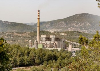 Ya zeytinlikler taşınacak ya da santral kapanacak!