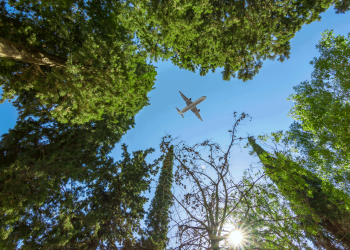 ICAO, COP30’da çok sayıda devletten tam destek aldı
